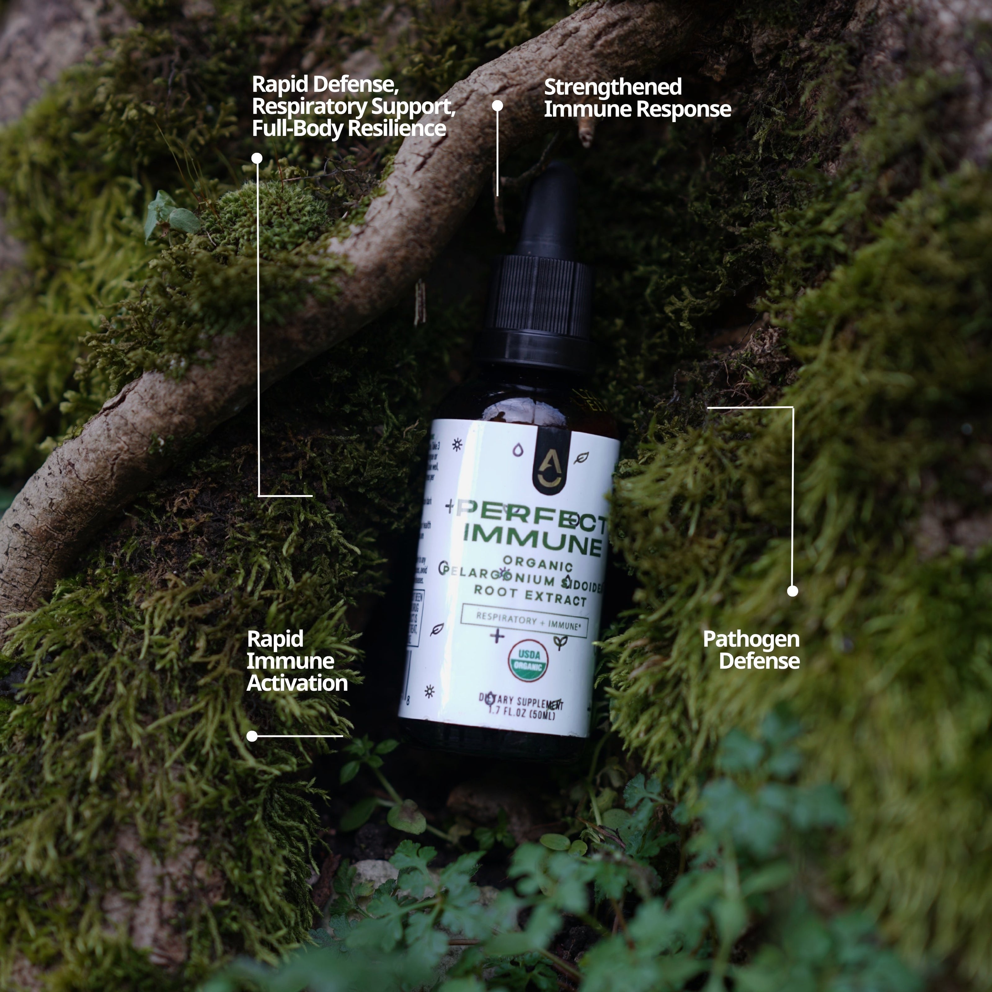 Perfect Immune 🇺🇸