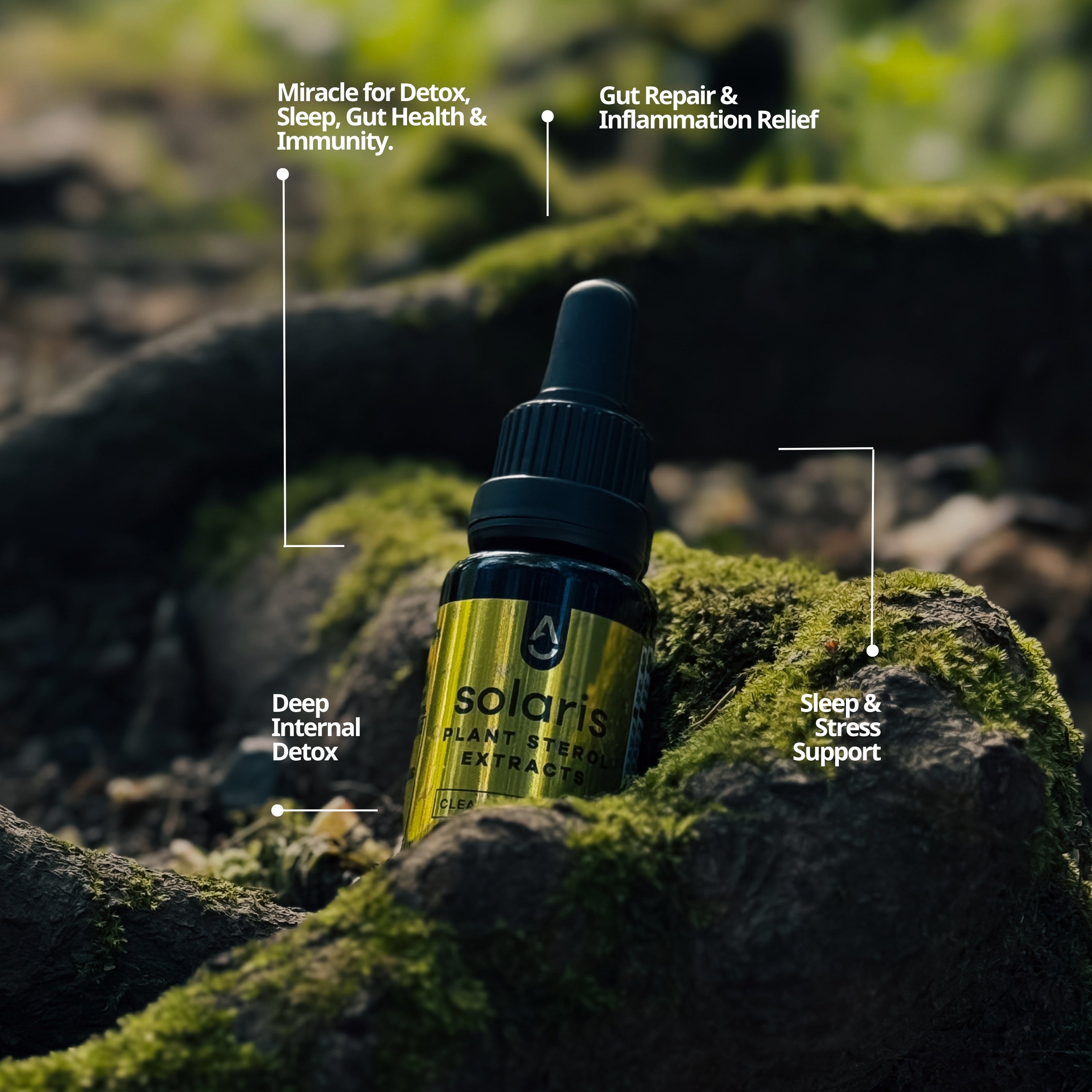 Solaris ๐บ๐ธ