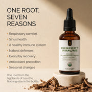 Perfect Immune — Daily Immune Health & Respiratory Support 🇺🇸