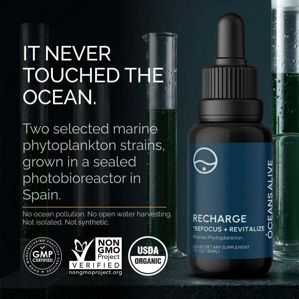 Oceans Alive® RECHARGE - formerly Raw Phytoplankton 🇺🇸