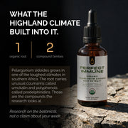 Perfect Immune — Daily Immune Health & Respiratory Support 🇺🇸