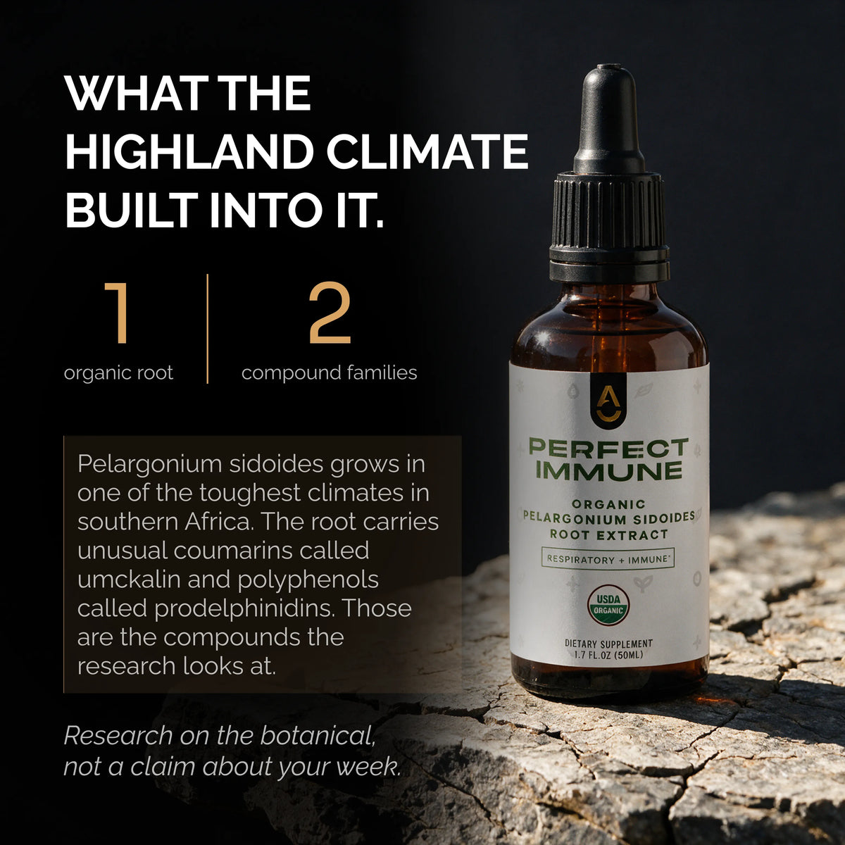 Perfect Immune — Daily Immune Health & Respiratory Support 🇺🇸