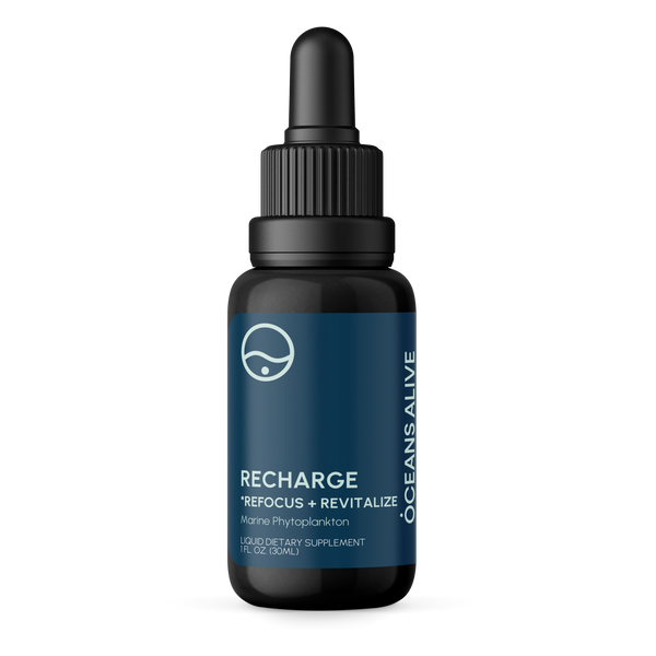 Oceans Alive® RECHARGE - formerly Raw Phytoplankton 🇺🇸