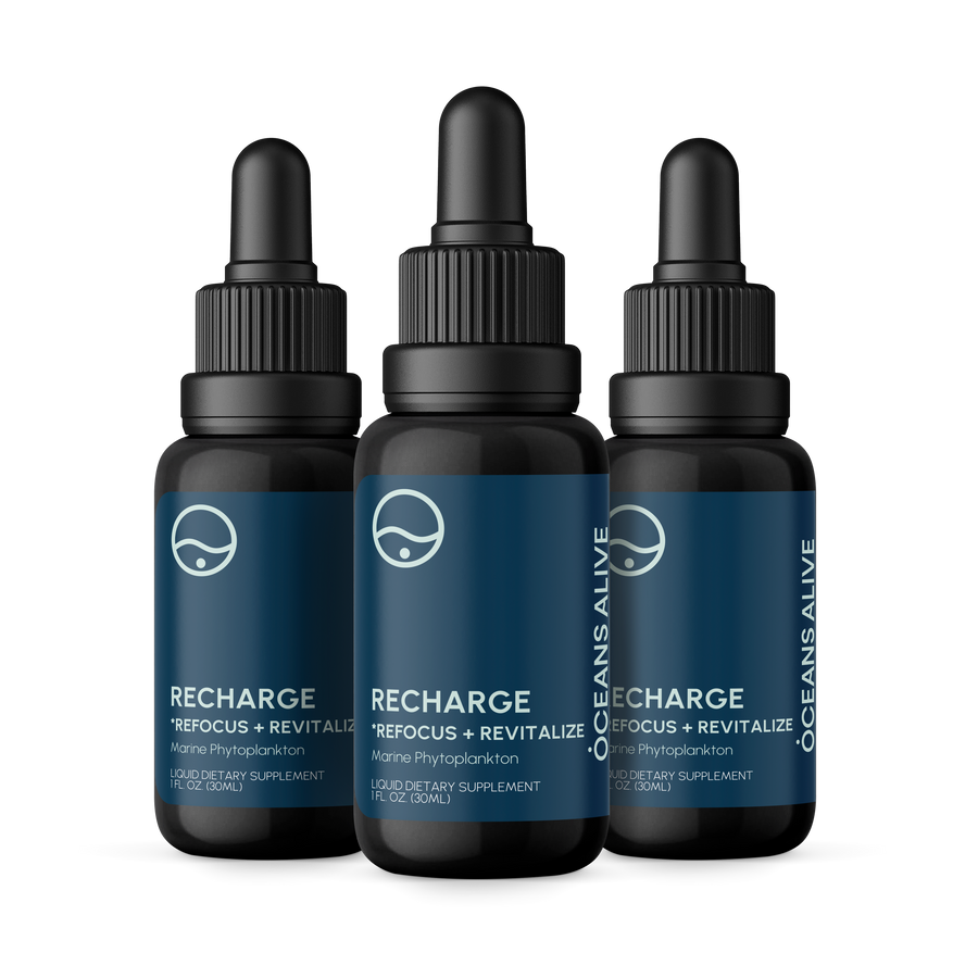 Oceans Alive® RECHARGE - formerly Raw Phytoplankton 🇺🇸