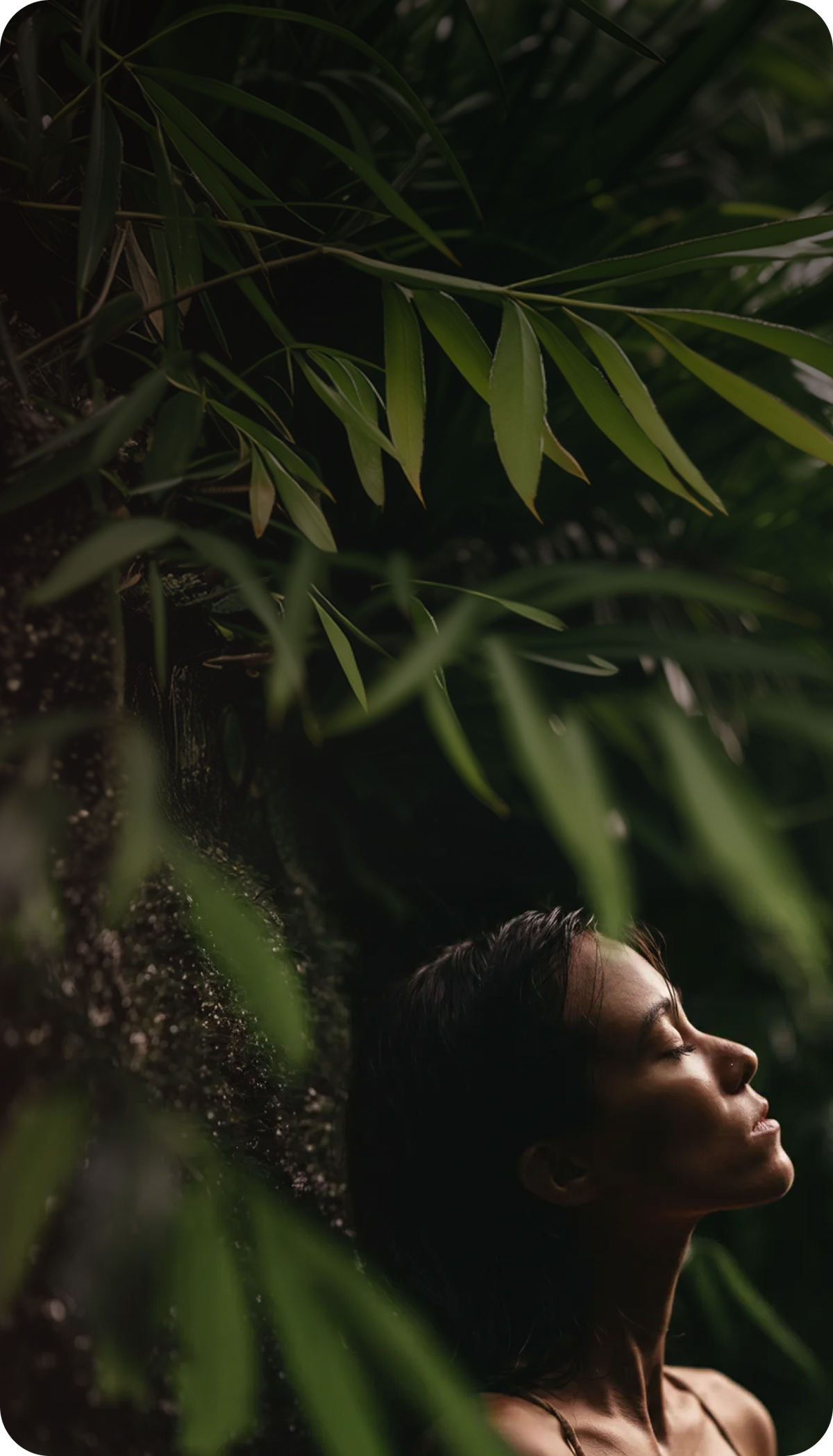 Banner background